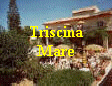 mare020a.jpg (12232 byte)